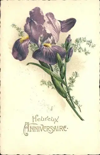Blumen Iris Heureux Anniversaire  Kat. Pflanzen