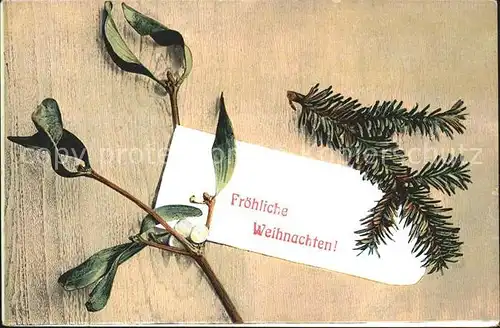 Weihnachten Mistel Kat. Greetings