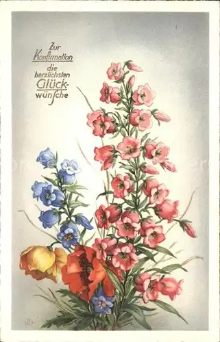 Blumen Anemonen Glockenblumen Konfirmation Glueckwunsch Kat. Pflanzen