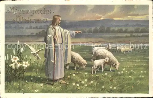 Jesus Schafe Taube Ostern Blumen  Kat. Christentum