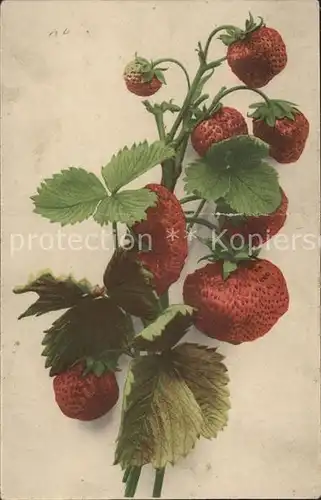 Obst Erdbeeren Kat. Lebensmittel