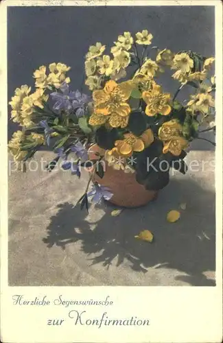 Konfirmation Glueckwunsch Schluesselblumen Primeln  Kat. Feiern und Feste