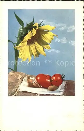 Vermenschlicht Tomaten Sonnenblume Henry Rox  Kat. Kuenstlerkarte