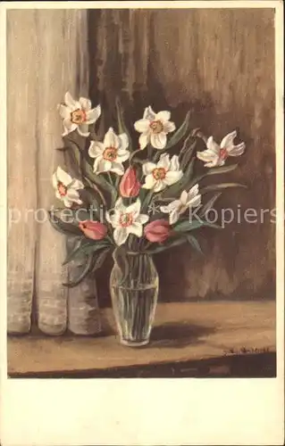 Blumen Narzissen Tulpen  Kat. Pflanzen