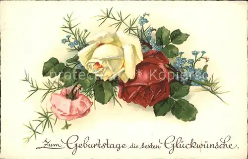 Rosen Glueckwunsch Geburtstag Litho Kat. Pflanzen