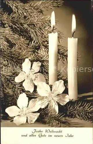 Weihnachten Neujahr Christrose Schneerose Kerzen  Kat. Greetings