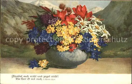 Edelweiss Enzian Alpenveilchen Alpenblumen  Kat. Pflanzen