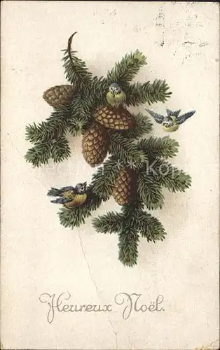 Tannenzapfen Voegel Weihnachten Verlag Amag Nr. 1857 Kat. Pflanzen