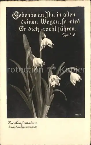 Blumen Maerzenbecher Konfirmation Psalm  Kat. Pflanzen