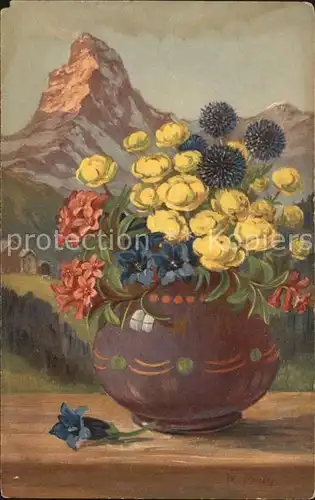 Frueh W. Trollblume Enzian Alpenrose  Kat. Kuenstlerkarte