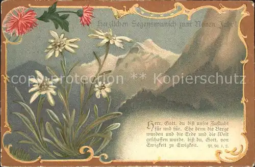 Edelweiss Berge Neujahr Psalm Litho  Kat. Pflanzen