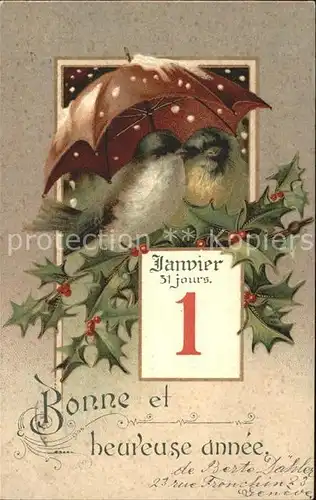 Datumskarte 1 Januar Neujahr Voegel Schirm Stechpalme Kat. Besonderheiten