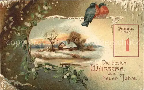 Datumskarte 1. Januar Neujahr Voegel Mistel Litho  Kat. Besonderheiten