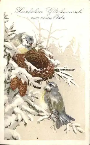 Voegel Vogelnest Tannenzapfen Neujahr  Kat. Tiere