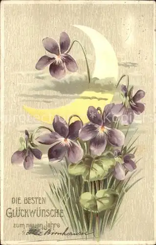 Blumen Veilchen Neujahr Mond  Kat. Pflanzen