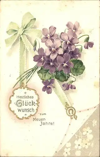 Blumen Veilchen Neujahr Hufeisen Litho Kat. Pflanzen
