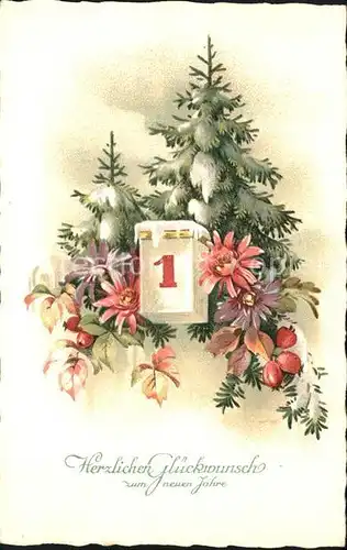 Datumskarte 1. Januar Blumen Hagebutte Tannenbaum Neujahr Litho Kat. Besonderheiten