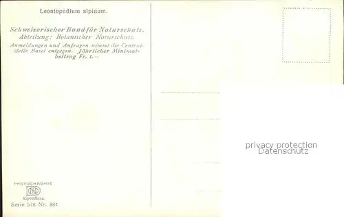 Verlag Photochromie Nr. 884 Serie 518 Leontopodium alpinum Edelweiss Kat. Verlage
