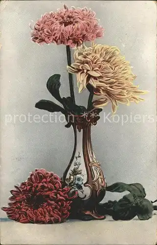 Blumen Dahlien Vase  Kat. Pflanzen