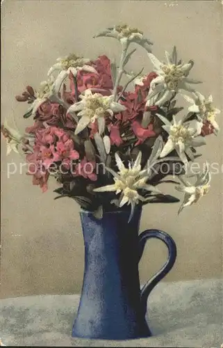 Verlag Photochromie Nr. 484 Edelweiss Alpenrosen  Kat. Verlage