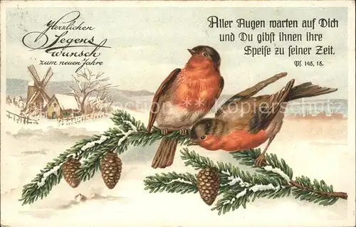 Voegel Rotkehlchen Neujahr Tannenzapfen Psalm  Kat. Tiere