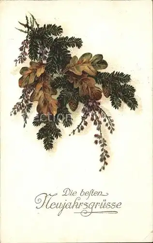 Tannenzapfen Neujahr Verlag Amag Nr. 1628 Kat. Pflanzen