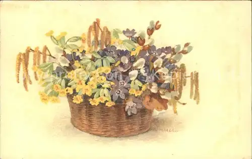 Haller Anna Nr. 373 Hasel Schluesselblumen Veilchen Weidenkaetzchen Kat. Kuenstlerkarte