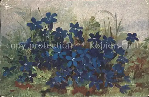 Haller Anna Blaue Blumen  Kat. Kuenstlerkarte