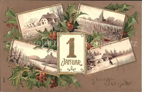 Datumskarte 1. Januar Neujahr Stechpalme  Kat. Besonderheiten