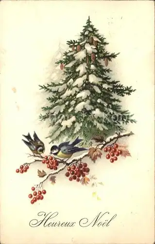 Voegel Blaumeise Weihnachten Tannenbaum  Kat. Tiere