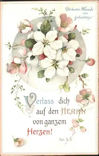 Geburtstag Glueckwunsch Blumen Litho Kat. Greetings