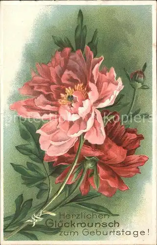 Geburtstag Glueckwunsch Blumen Litho  Kat. Greetings