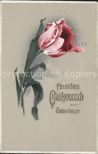 Geburtstag Glueckwunsch Tulpe  Kat. Greetings