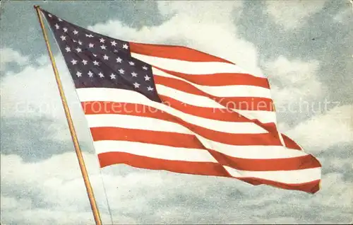 Fahnen Vereinigte Staaten von Amerika Kat. Heraldik