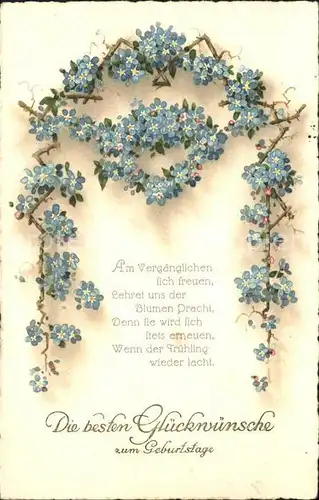 Geburtstag Vergissmeinnicht Gedicht Litho Kat. Greetings