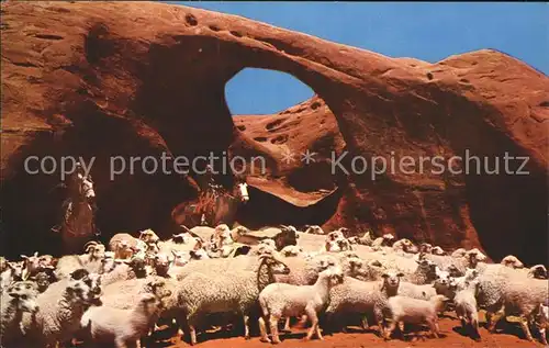 Schafe Navajo Sheepherders Indian Reservation Arizona Kat. Tiere