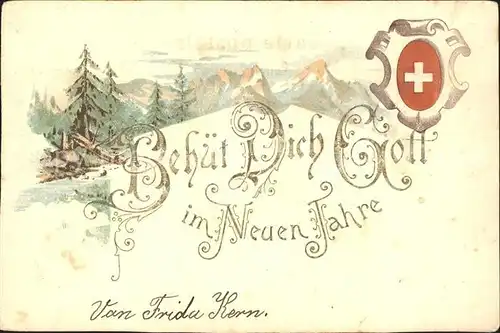 Neujahr Schweiz Litho Kat. Greetings