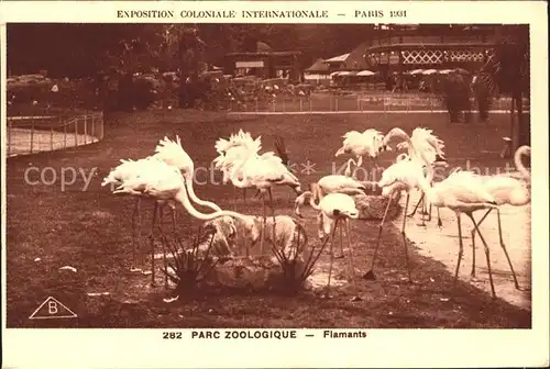 Exposition Coloniale Paris 1931 Zoo Flamingos Flamants  Kat. Expositions