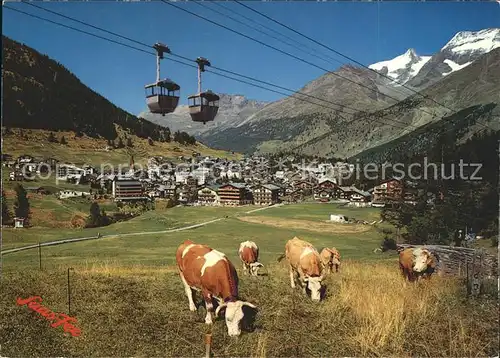 Seilbahn Saas-Fee Fletschhorn Laquinhorn Kuehe  / Bahnen /