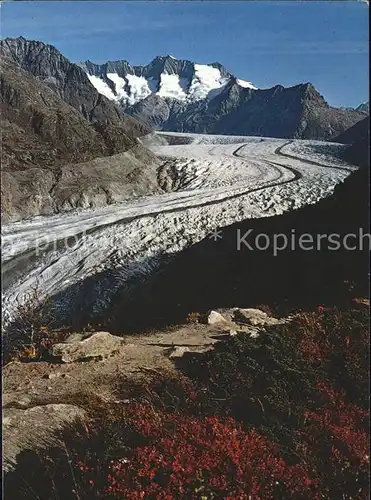 Gletscher Aletschwald Wannenhorn Kat. Berge