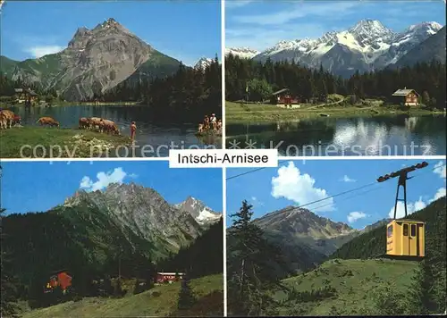 Seilbahn Intschi-Arnisee / Bahnen /