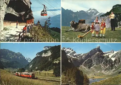 Alphorn Wildkirchli Ebenalpbahn Appenzellerbahn Marwies  Kat. Musik