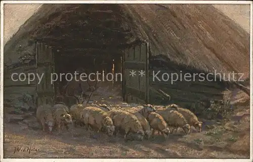 Kuenstlerkarte J.W.v.d. Heide In der Morgensonne Nr. 1008 Serie Perlen Muenchener Kunst Schafe Hirte  Kat. Kuenstlerkarte