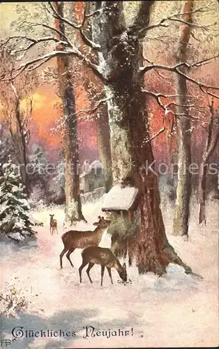 Neujahr Rehe Wald Futterkrippe Kat. Greetings