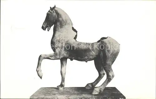Pferde Skulptur Cavallo Bronzo Palazzo Conservatori Roma Kat. Tiere