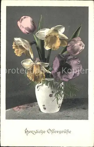 Ostern Easter Paques Narzissen Tulpen / Greetings /
