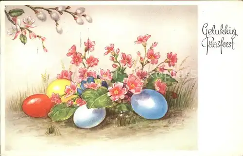 Ostern Easter Paques Primel Ostereier Weidenkaetzchen / Greetings /