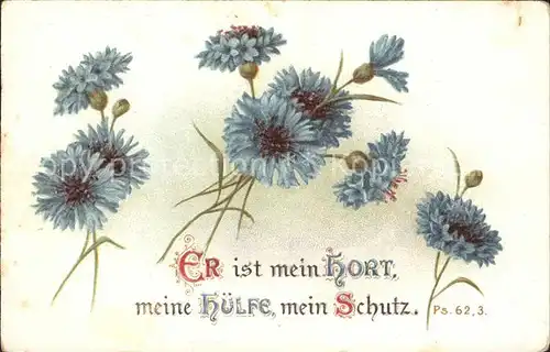 Blumen Kornblumen Litho Kat. Pflanzen