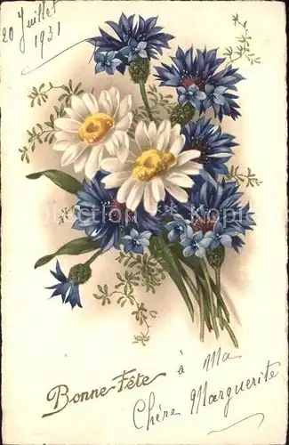 Blumen Kornblumen Margeriten Litho Kat. Pflanzen