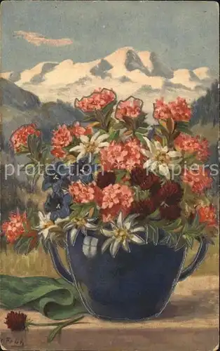 Frueh W. Alpenblumen Edelweiss Enzian Apenrosen Maennertreu Kat. Kuenstlerkarte